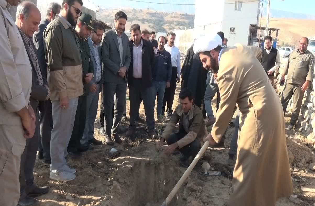 آغاز عملیات کاشت ۱۰۰ هزار اصله نهال در شهرستان بدره